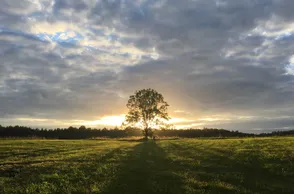 Поговорки о жизни