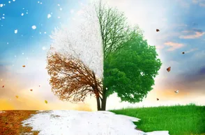 Поговорки о временах года