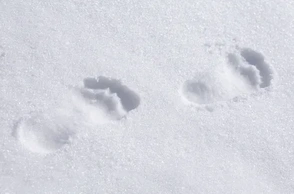 Ходить босиком по снегу во сне