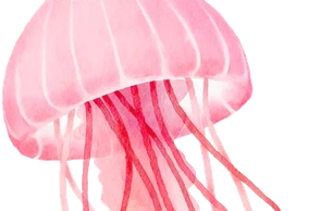 К чему снятся медузы