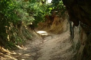 К чему снится овраг