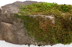 К чему снится камень