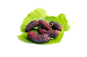 К чему снится тутовник