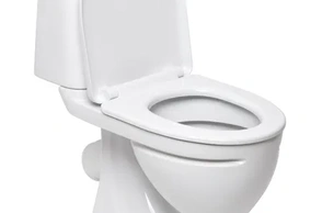 К чему снится унитаз 