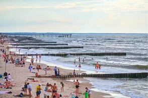 К чему снится гастролёр