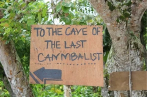 К чему снится каннибал