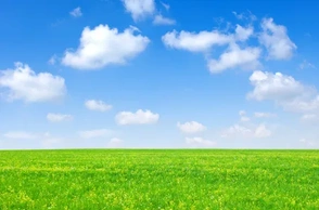 К чему снится поле