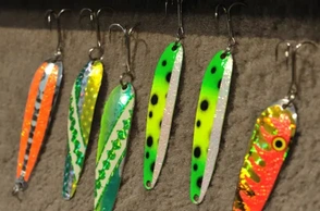 К чему сниться блесна