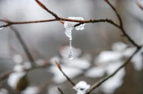 К чему снится талый снег