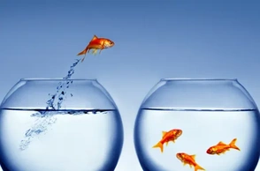 К чему снится выпрыгнуть из окна