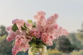 К чему снится май