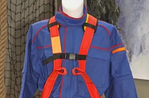 К чему снится сбруя