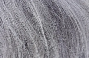 К чему снится седина