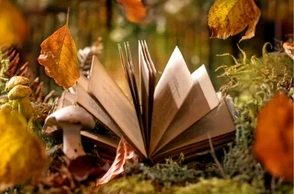 Сонник сказка