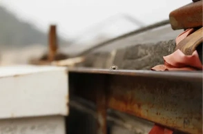 К чему снится инквизиция