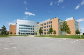 К чему снится институт