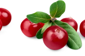 К чему снится клюква