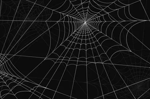 К чему снится паутина