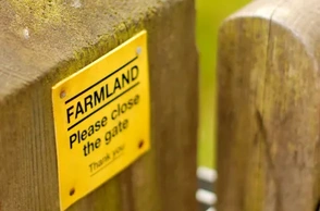 К чему снится закрывать ворота