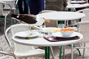 К чему снятся непрошенные гости