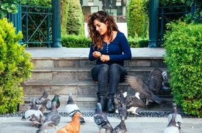 К чему снится кормить голубей