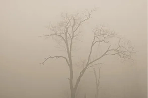 К чему снится мгла