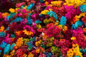 К чему снится мексиканец