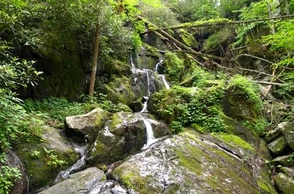 К чему снится упасть с горы