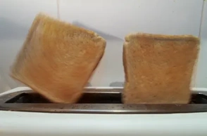 К чему снится выгонять мух из дома