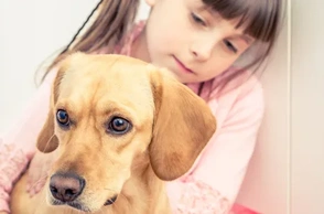 К чему снится маленькая собачка на руках