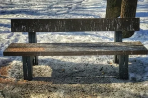 К чему снится помет голубя