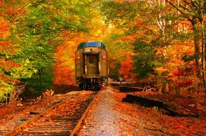 К чему снится ехать на крыше поезда