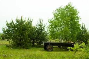 К чему снится телега без лошади