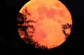 К чему снится полнолуние