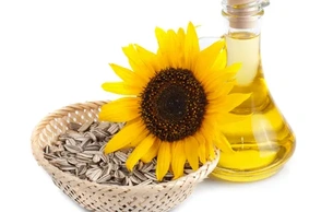 К чему снится подсолнечное масло