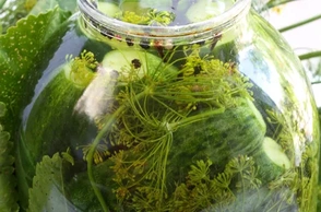 К чему снится малосольные огурцы