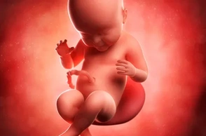 К чему снится эмбрион