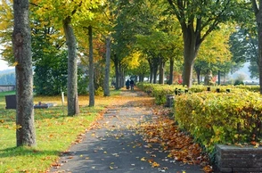 К чему снится ходить по кладбищу