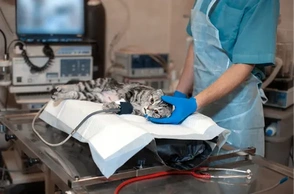 К чему снится готовиться к операции