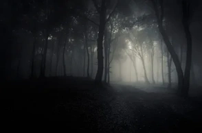 К чему снится темный лес