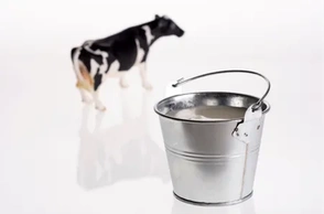 К чему снится ведро молока