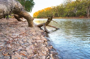К чему снится высохшая река