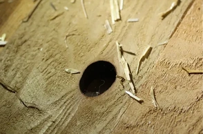 К чему снится дыра в полу