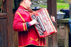 К чему снится играть на гармошке