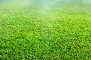 К чему снится рвать траву руками