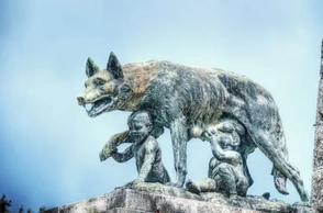 К чему снится волчица