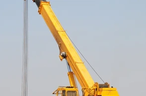 К чему снится журавль