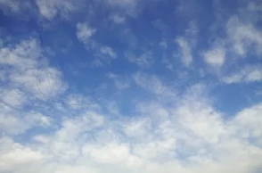 К чему снятся журавли в небе