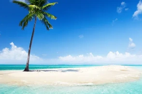 К чему снится остов