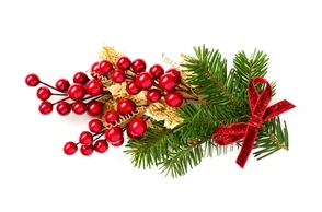 К чему снится елочная игрушка